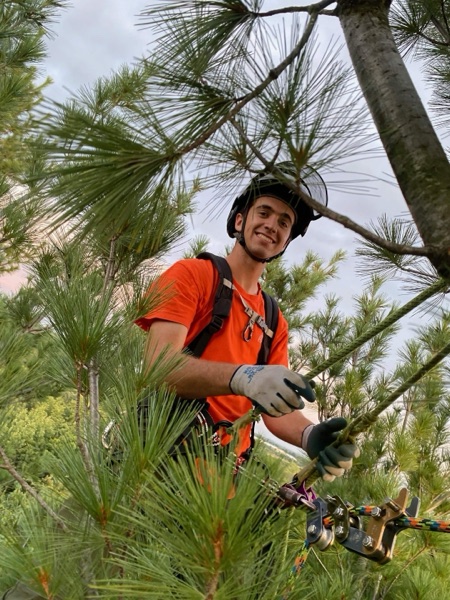 Paul Johannes in climbing gear and orange shirt, smiling in the canopy of a pine tree